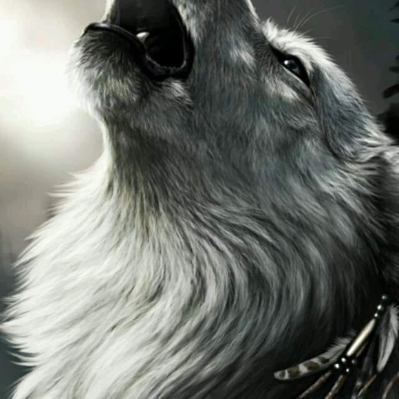 krisbrooks11